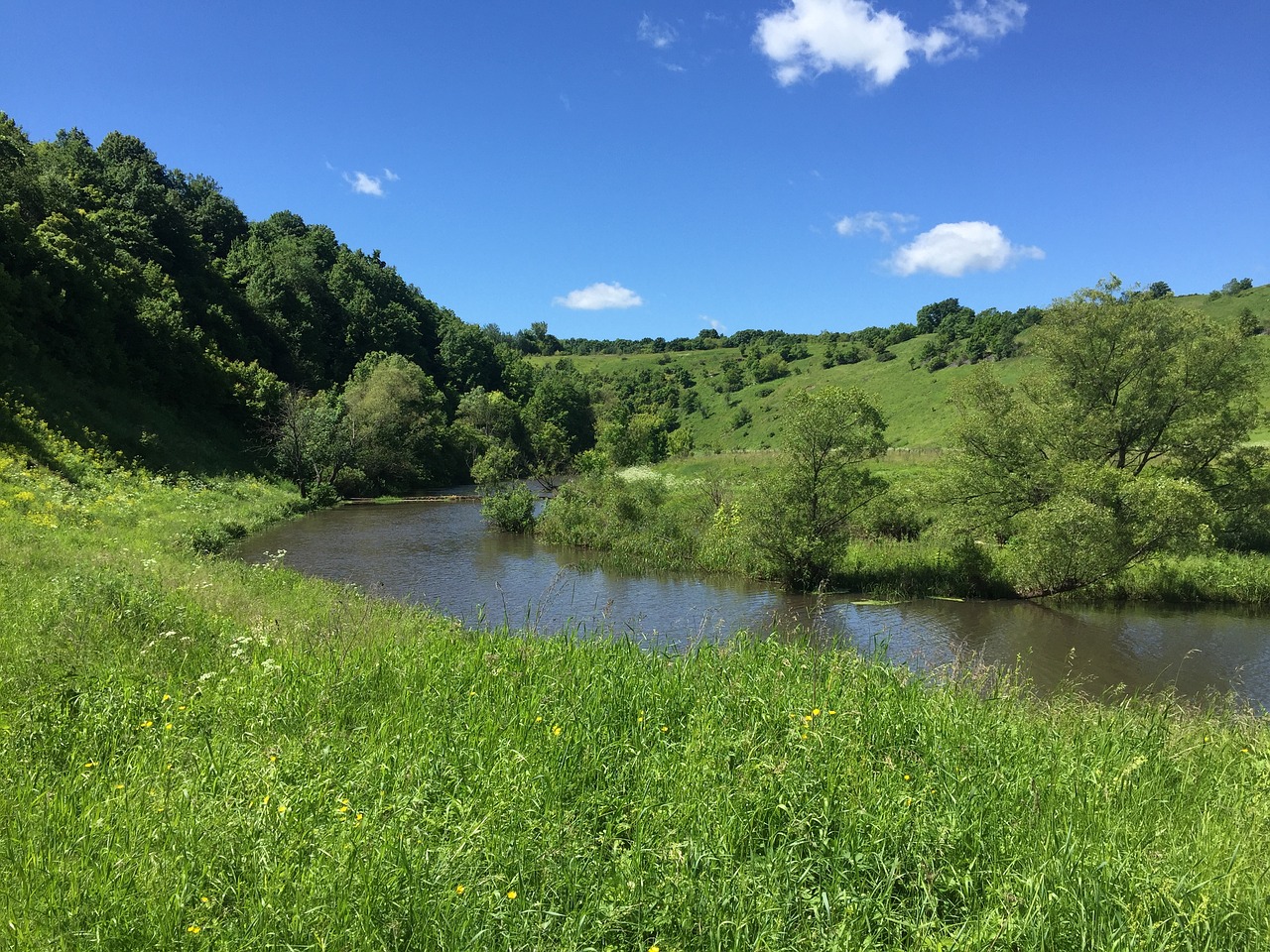 nature divnogorie river free photo