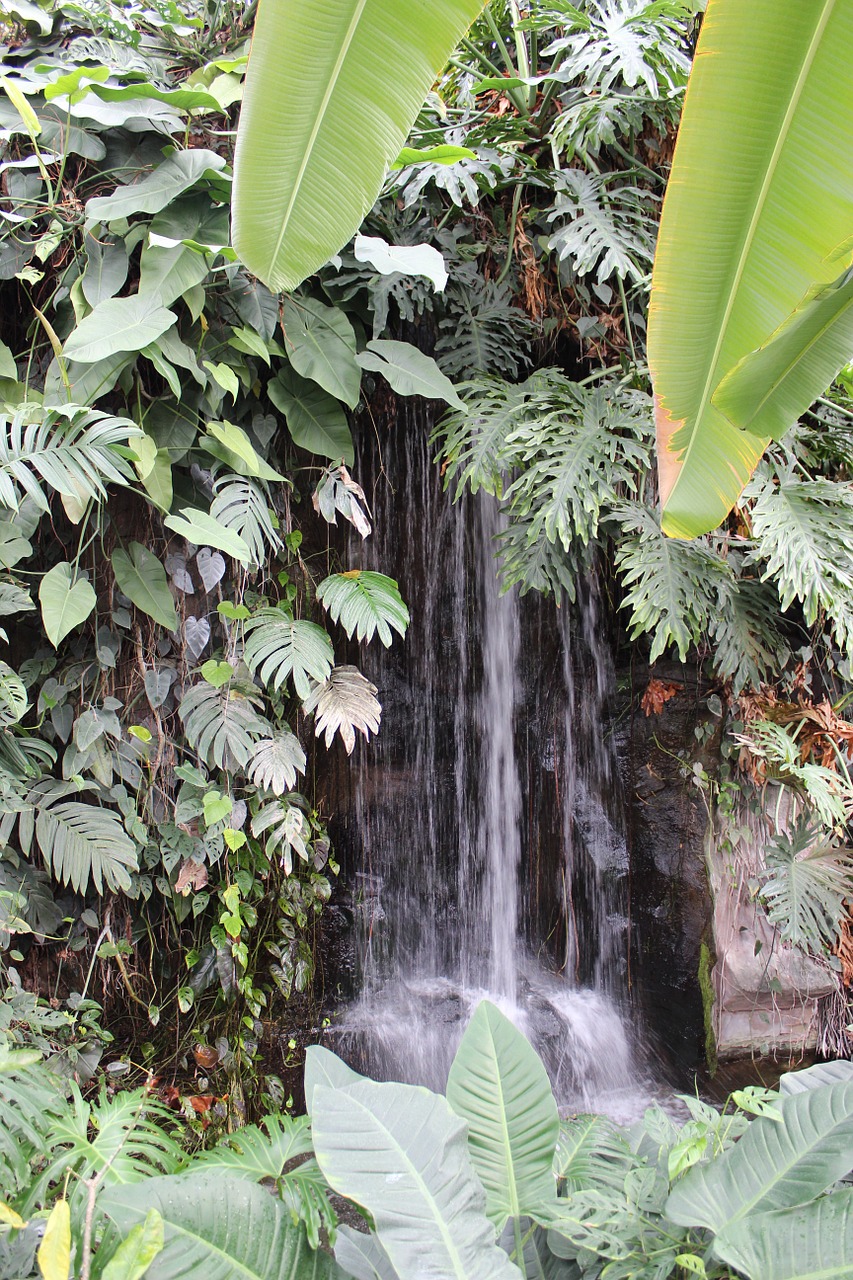 nature waterfall tropics free photo