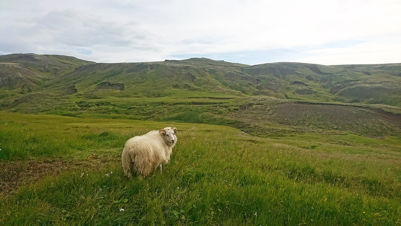 nature iceland travel free photo