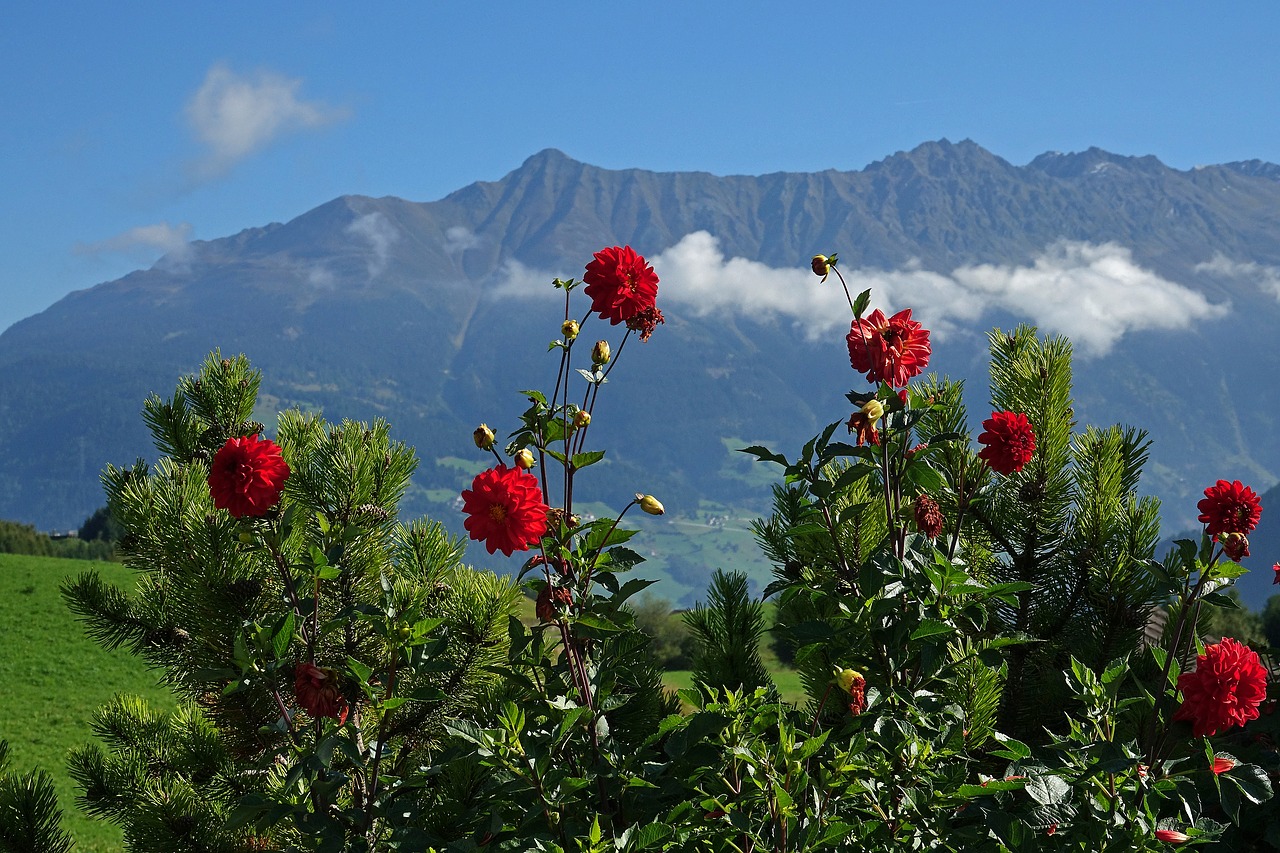 nature landscape mountains free photo