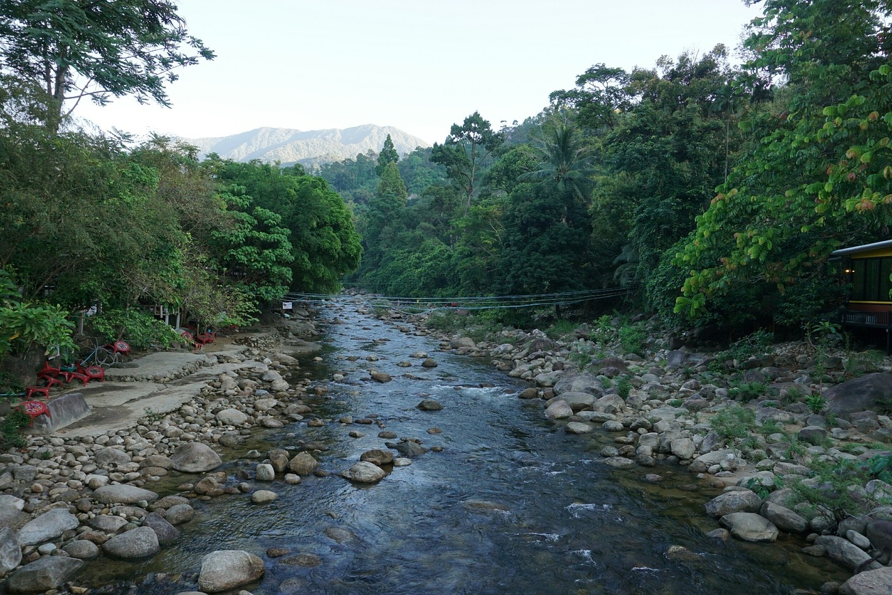 nature view river free photo