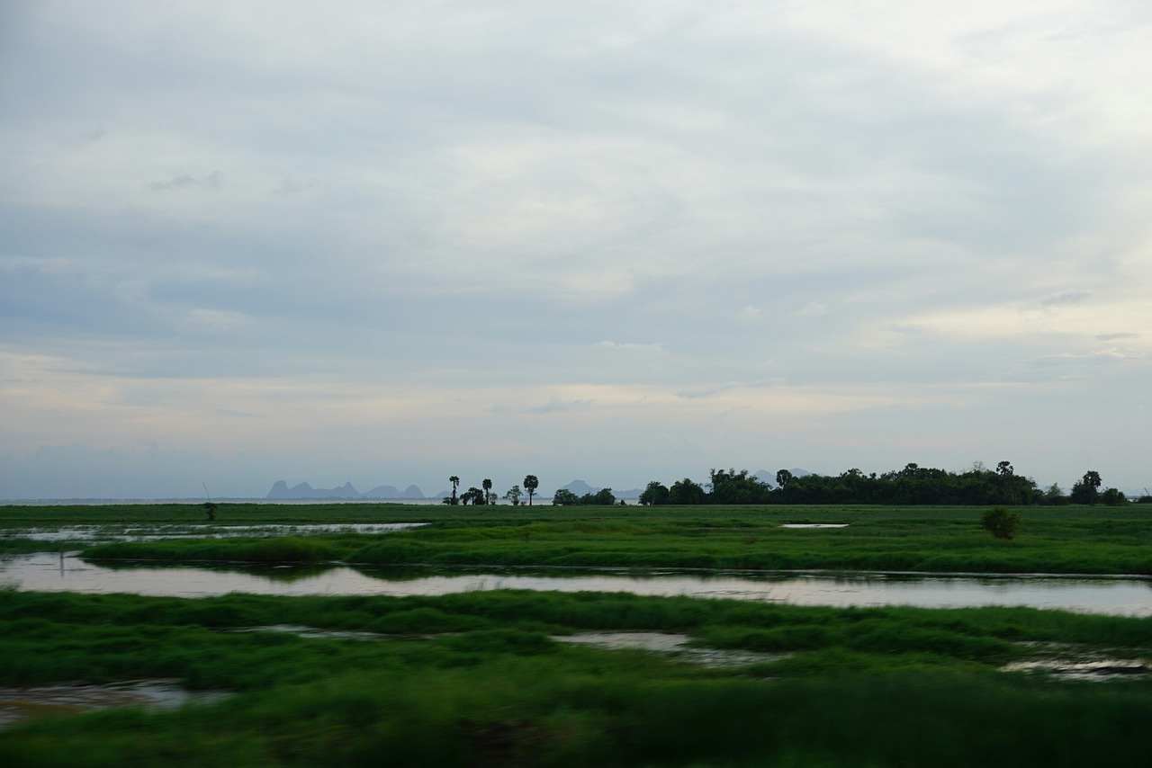 nature view river free photo