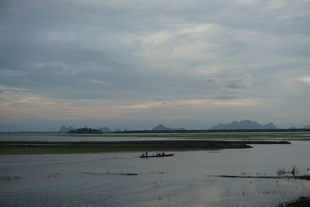 nature view river free photo