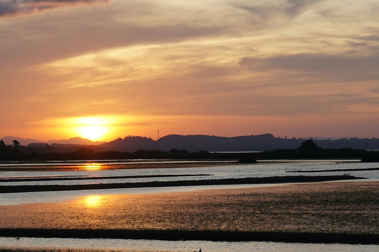 nature view river free photo