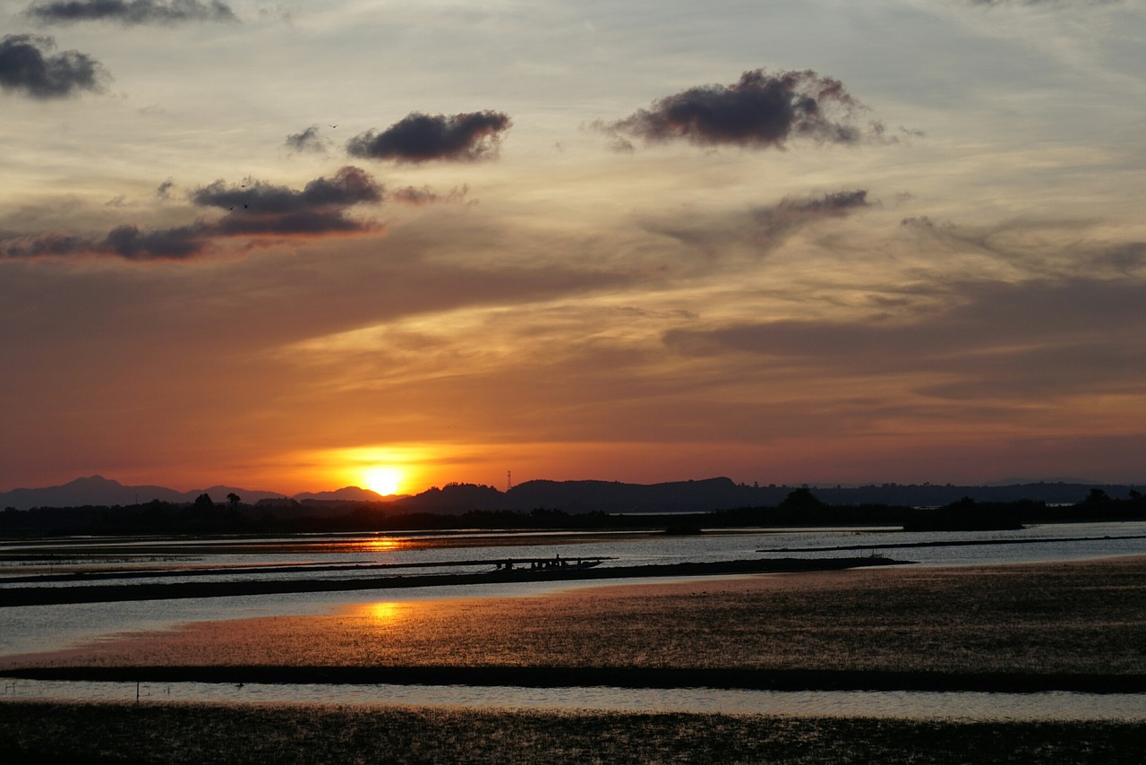 nature view river free photo