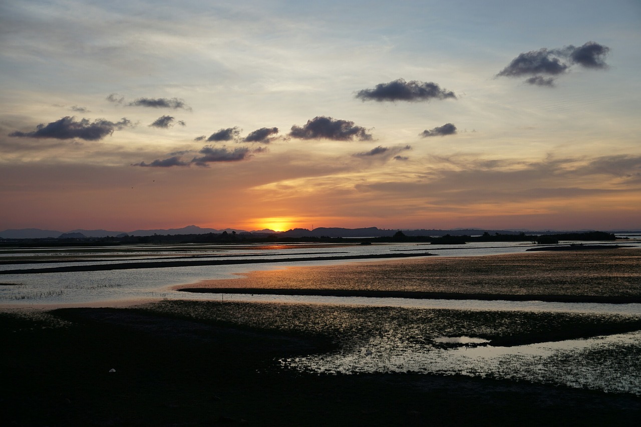 nature view river free photo