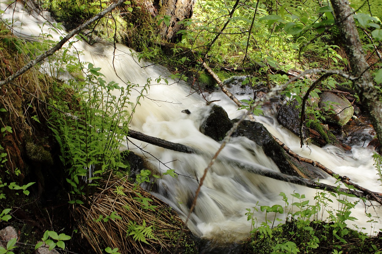 nature waterfall water free photo