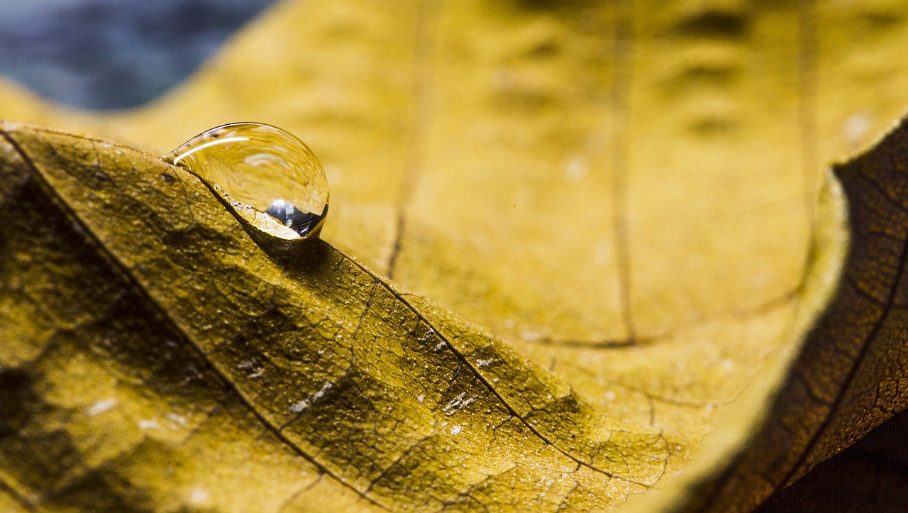 nature water texture free photo