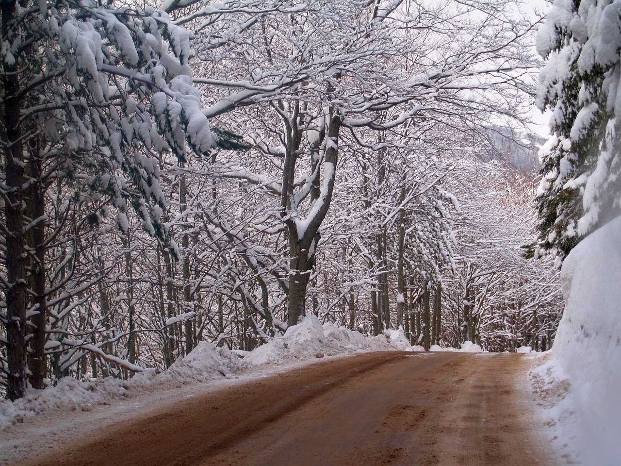 nature winter mountain free photo