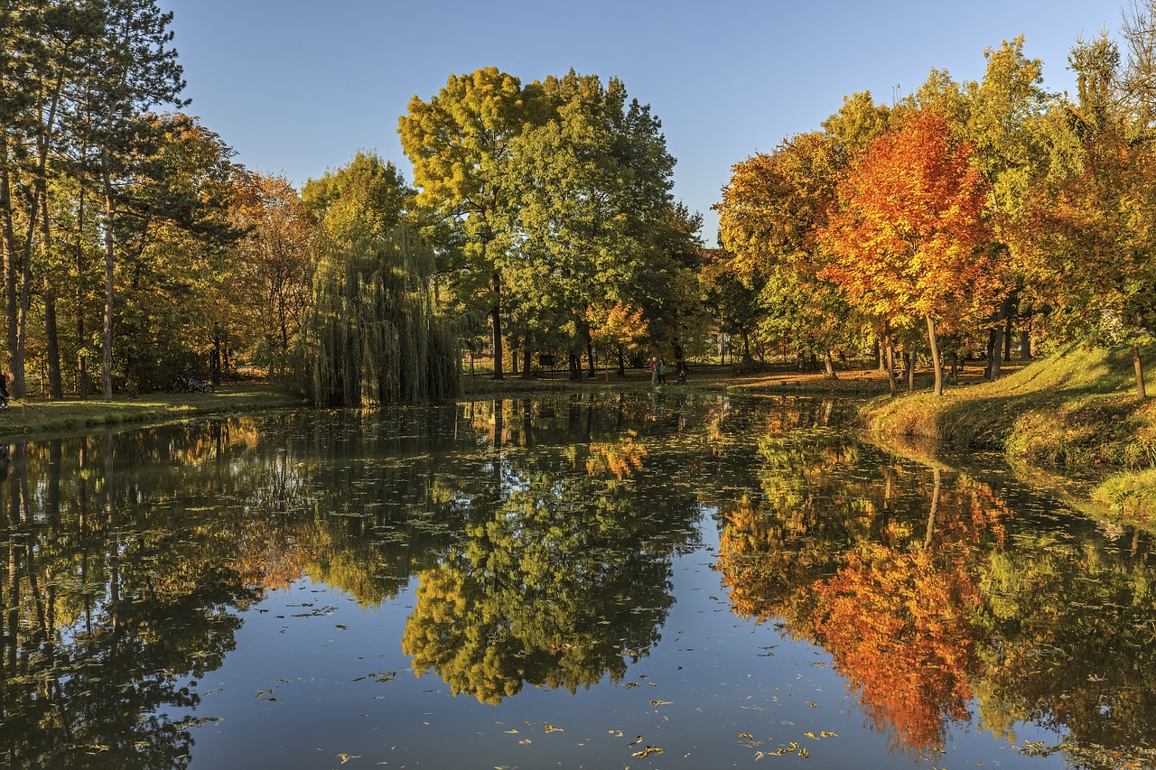 nature autumn mood autumn colors free photo