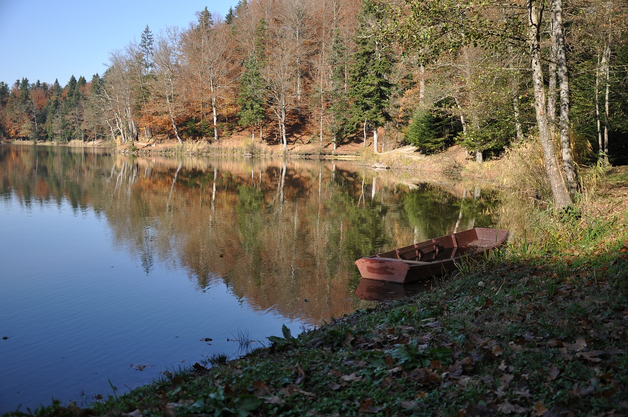 nature autumn lake free photo