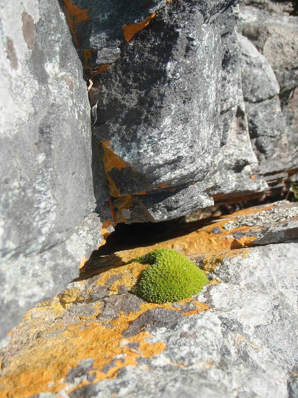 nature stone rock free photo