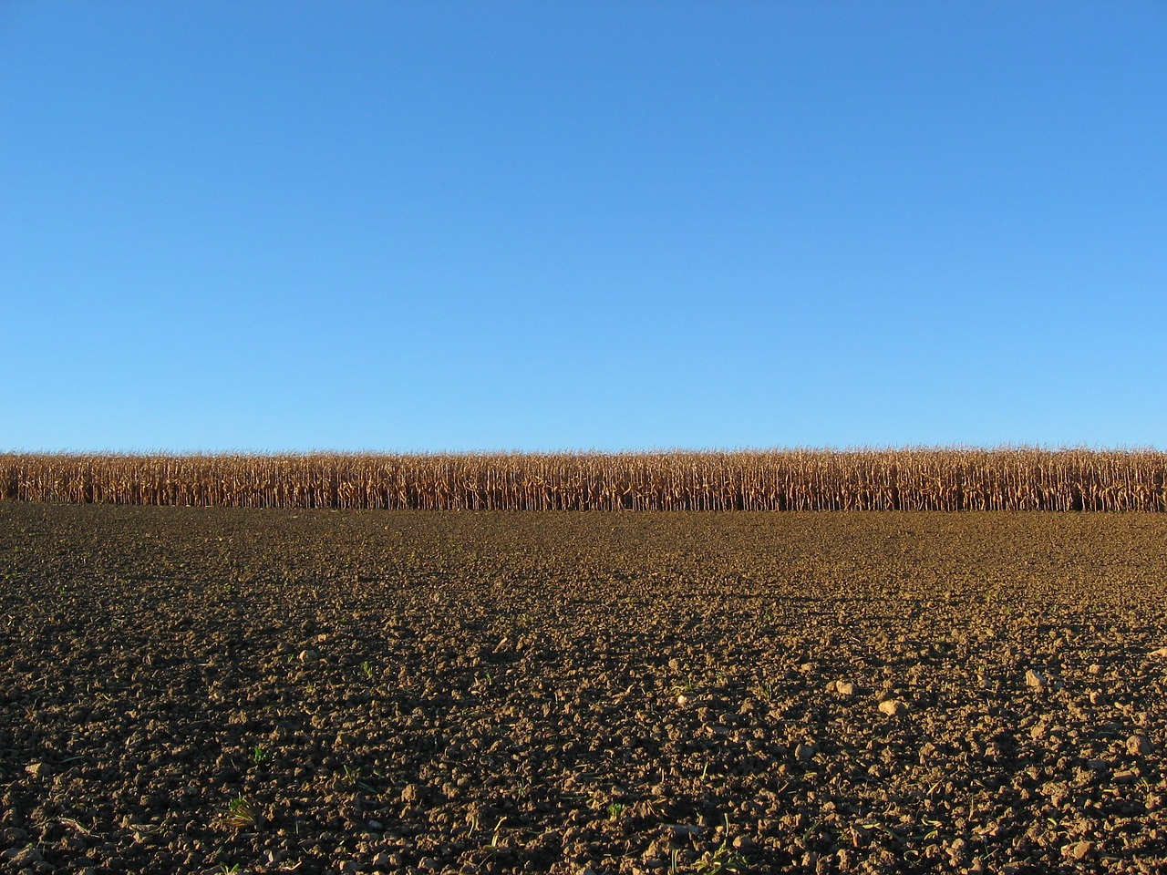 nature landscape agriculture free photo