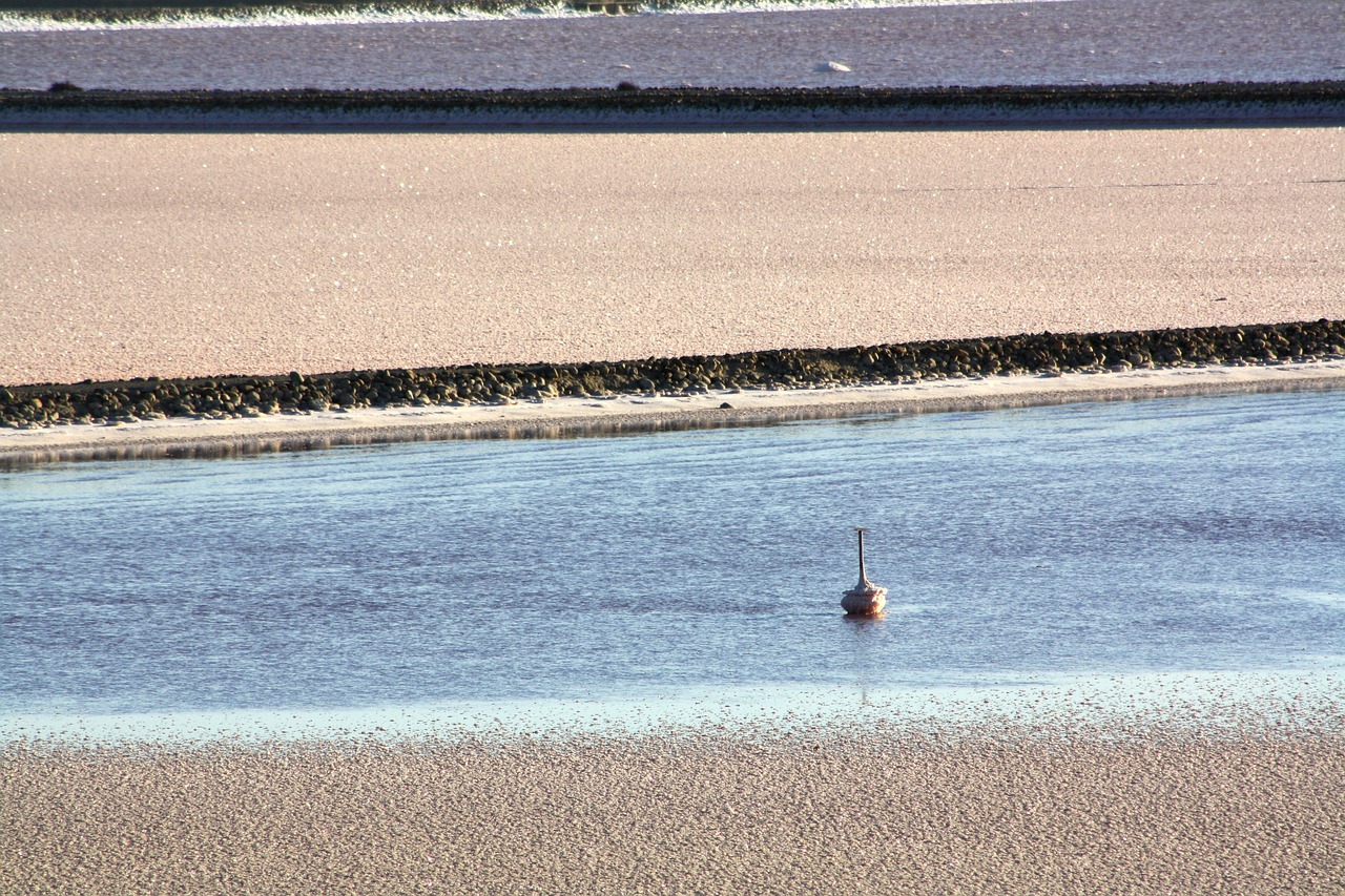 nature camargue landscapes free photo