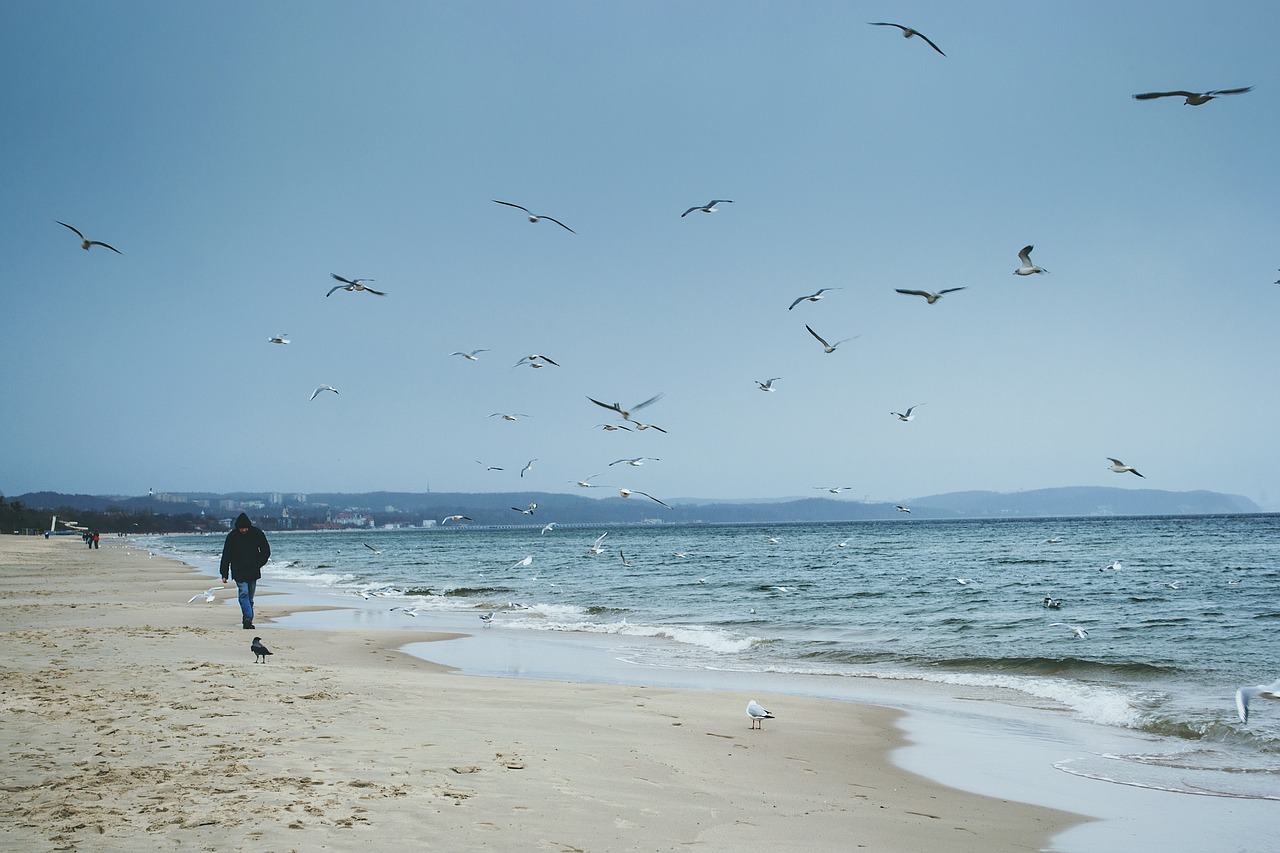 nature baltic sea beach free photo