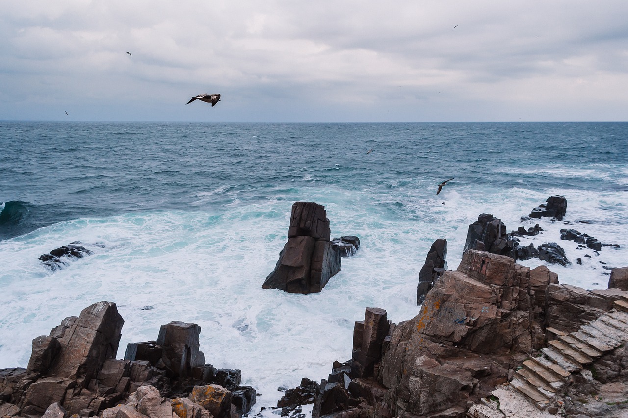 nature black black sea free photo