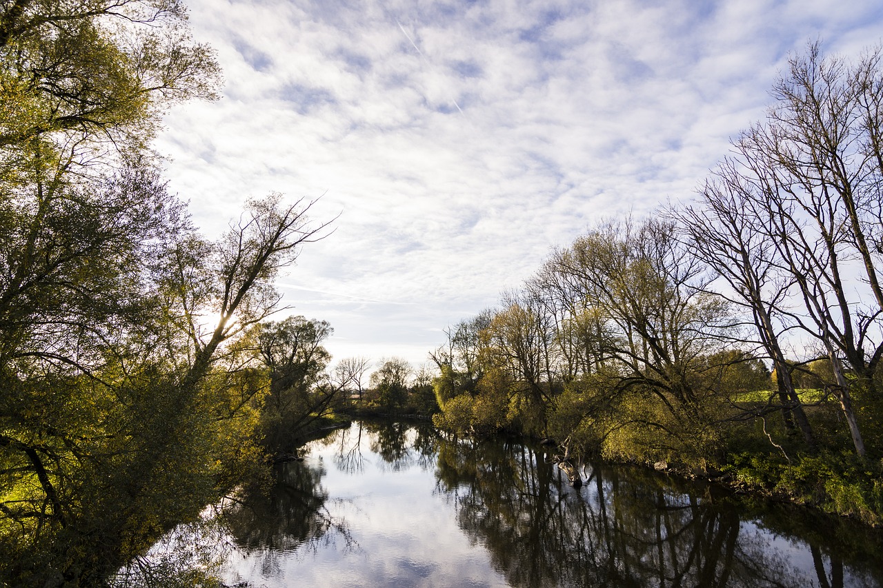 nature autumn river free photo