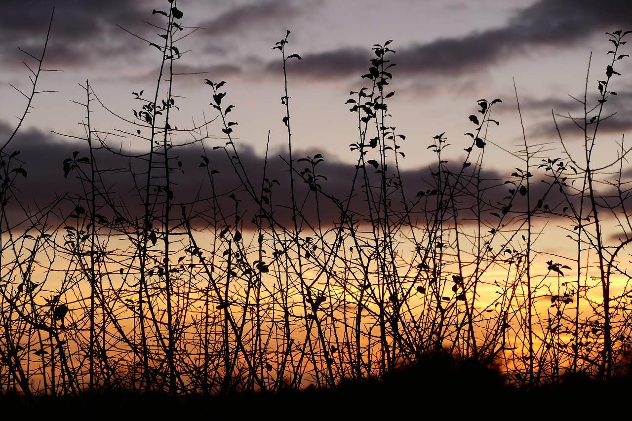 nature sky outdoors free photo