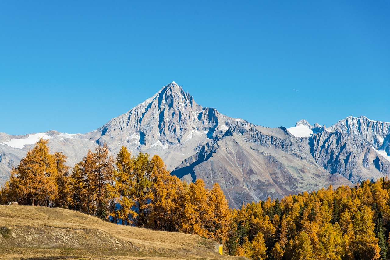 nature alpine valais free photo