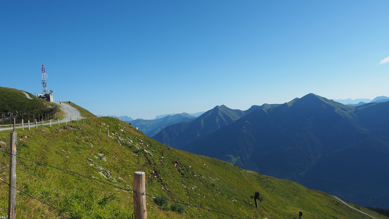 nature gastein meadow free photo