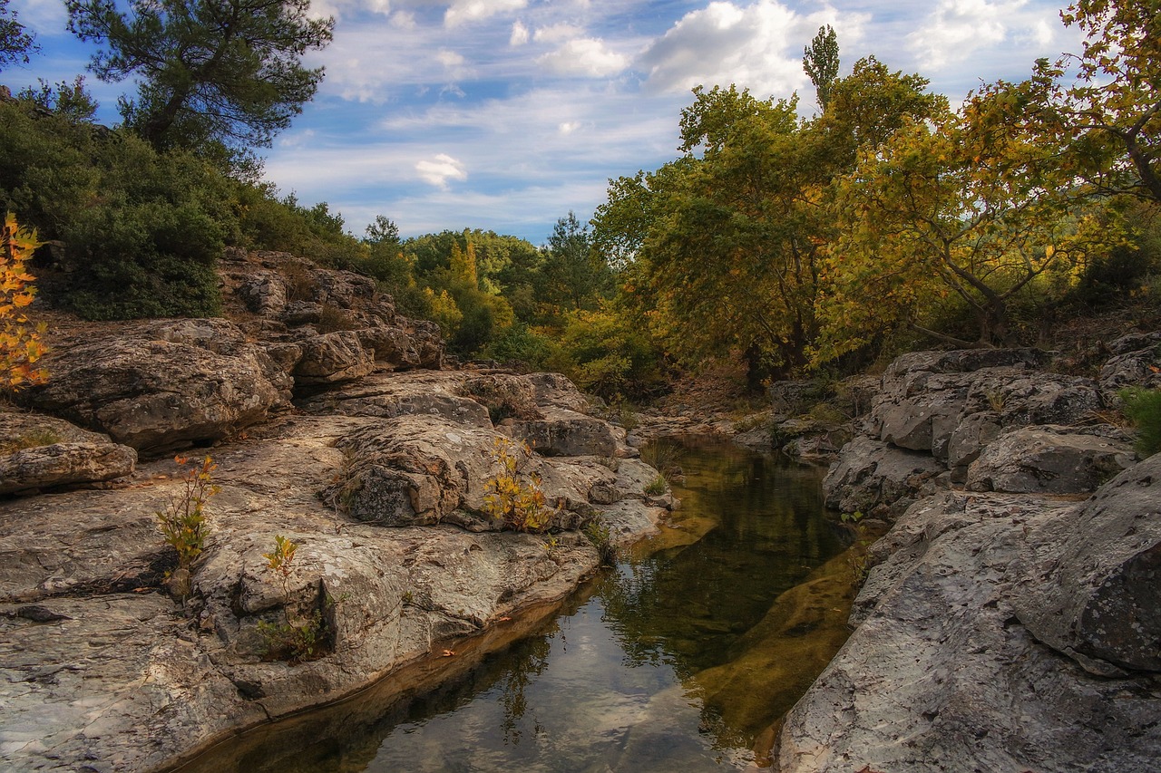 nature peace water free photo