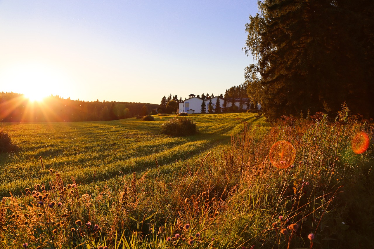 nature sunset landscape free photo