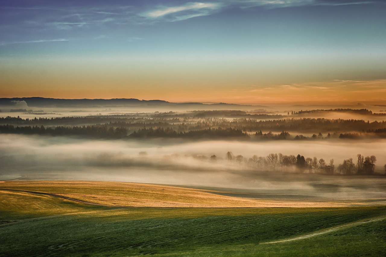 nature fog landscape free photo