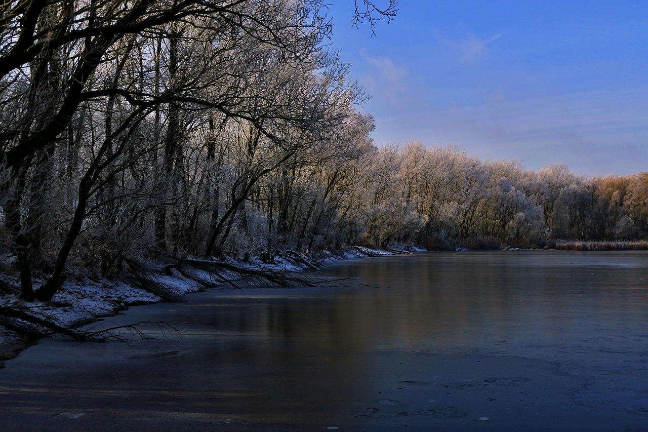 nature country trees free photo