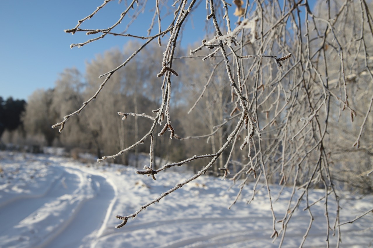 nature landscape russia free photo