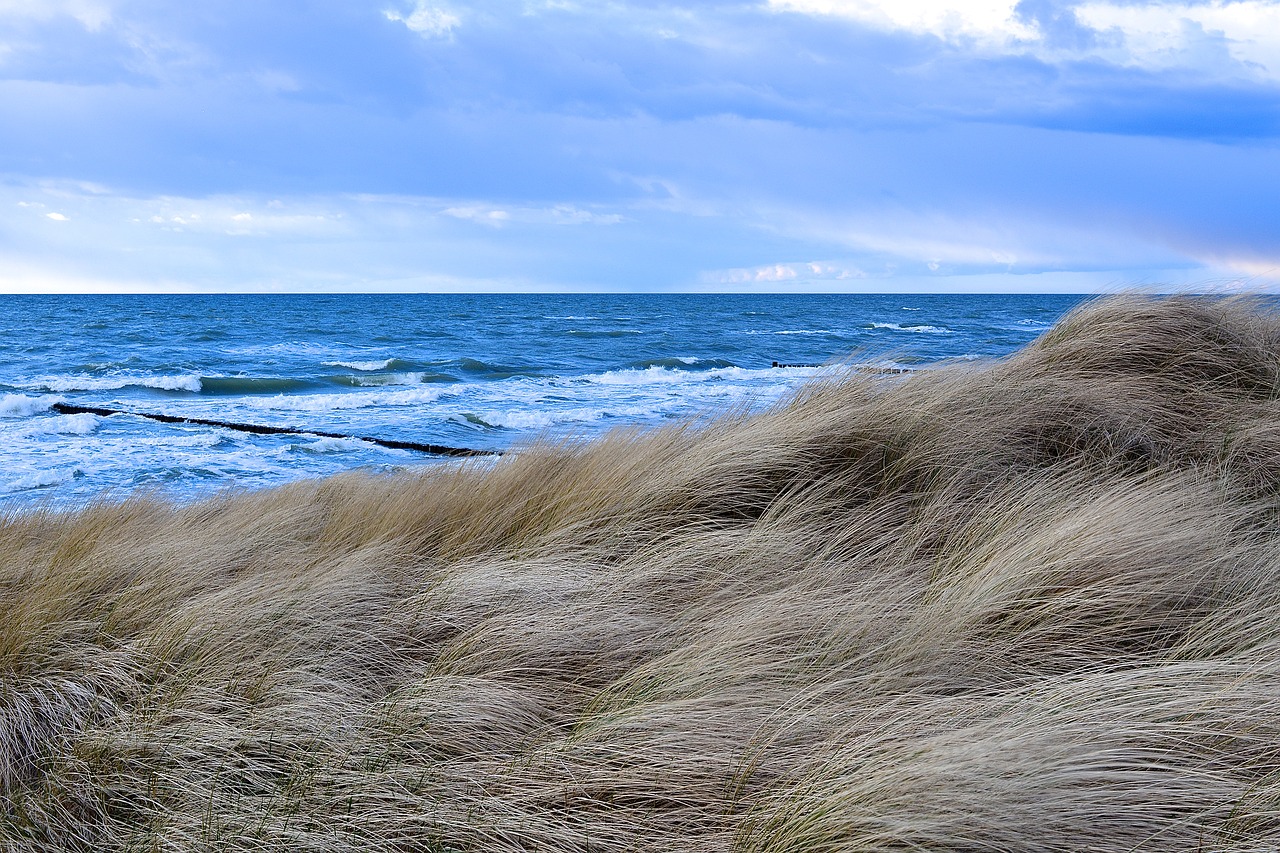 nature sea coast free photo