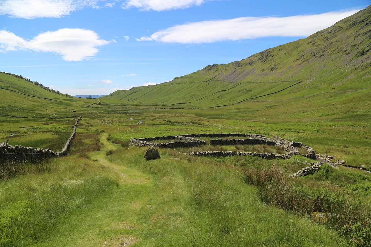 nature landscape grass free photo