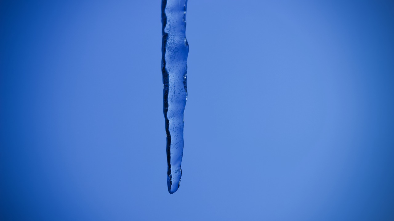 nature icicle winter free photo