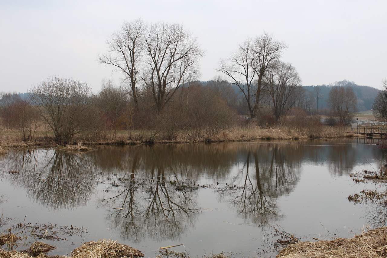 nature waters reflection free photo