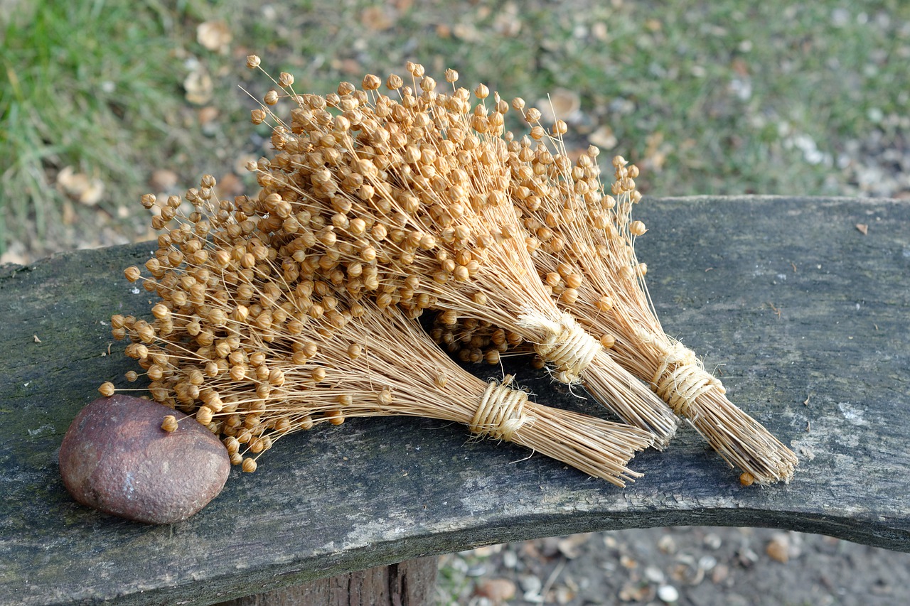 nature flax bouquet free photo