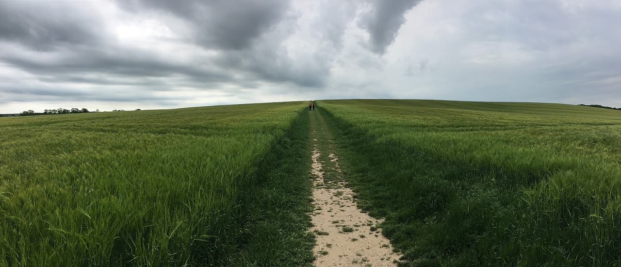 nature panoramic sky free photo