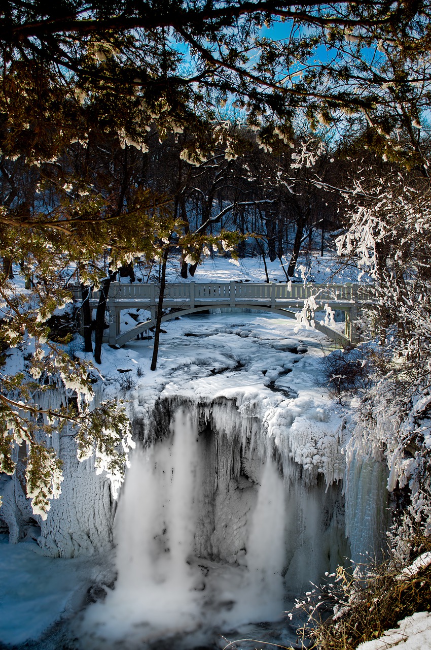 nature water winter free photo