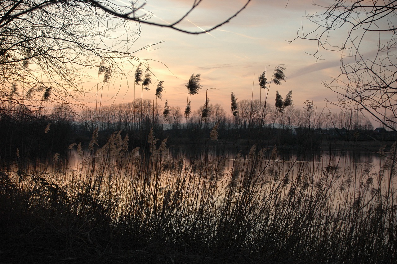 nature landscape reflection free photo