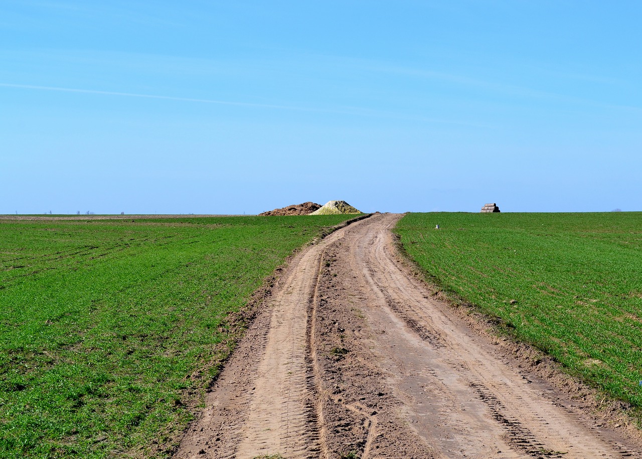 nature field landscape free photo