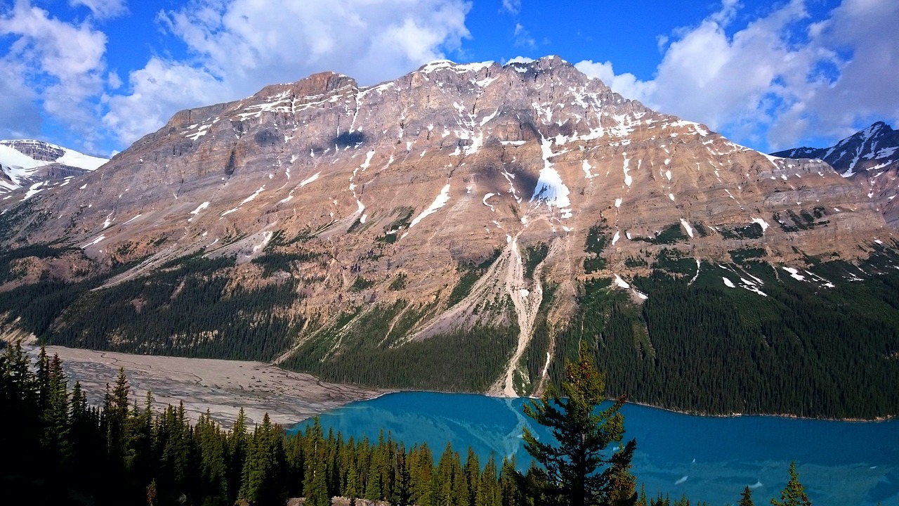 nature mountain snow free photo