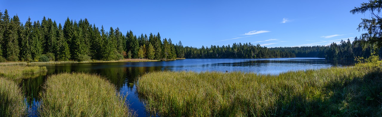 nature lake waters free photo