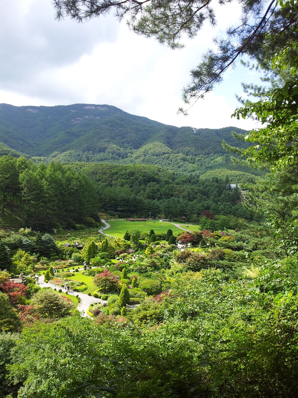 nature scenery wood free photo