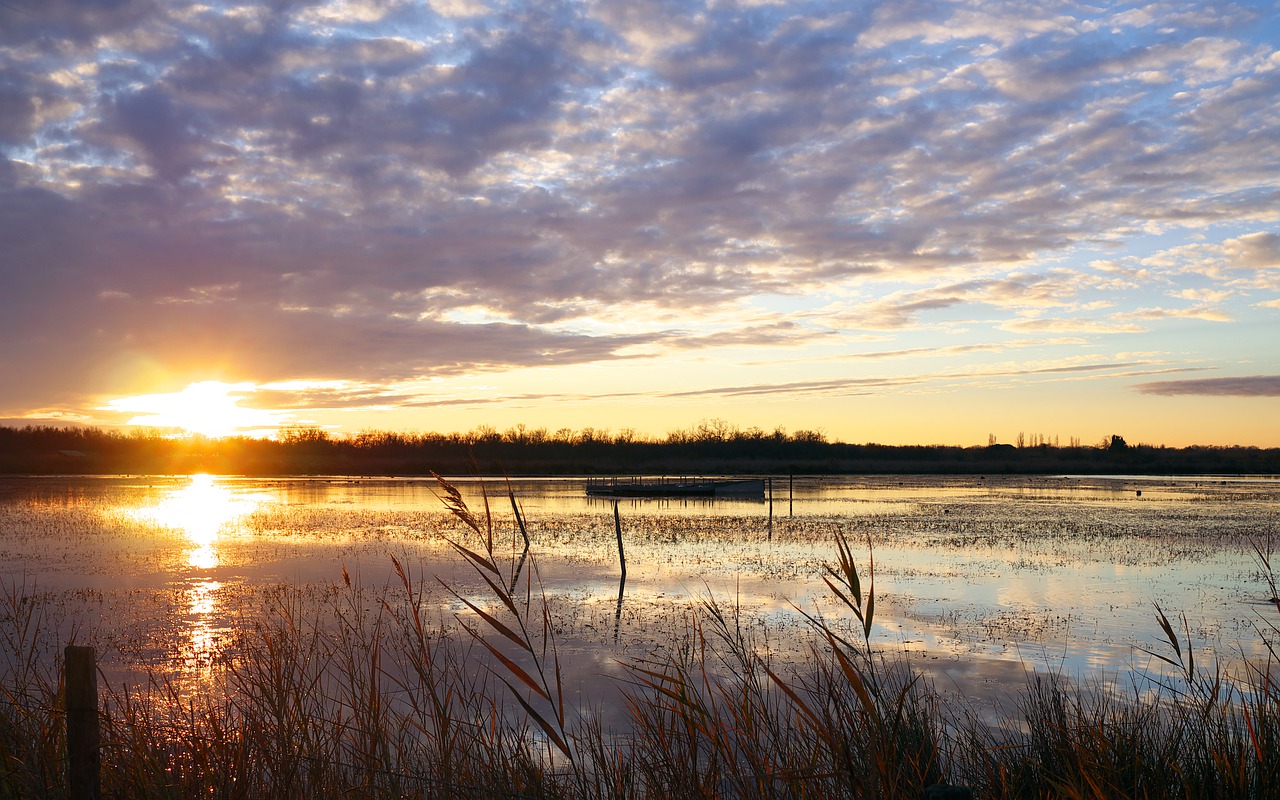 nature landscape sunset free photo