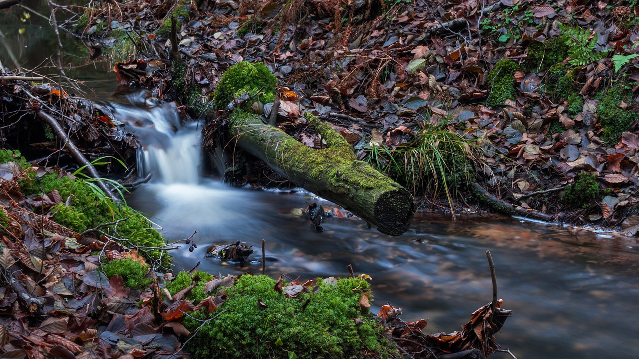 nature river waterfall free photo