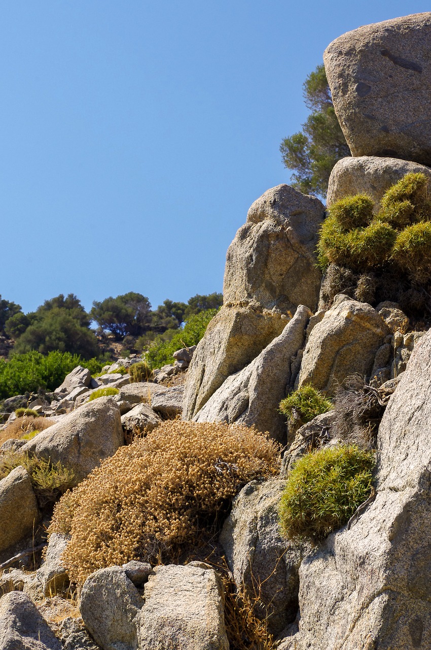 nature stone travel free photo