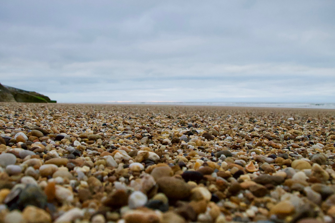 nature beach roller free photo