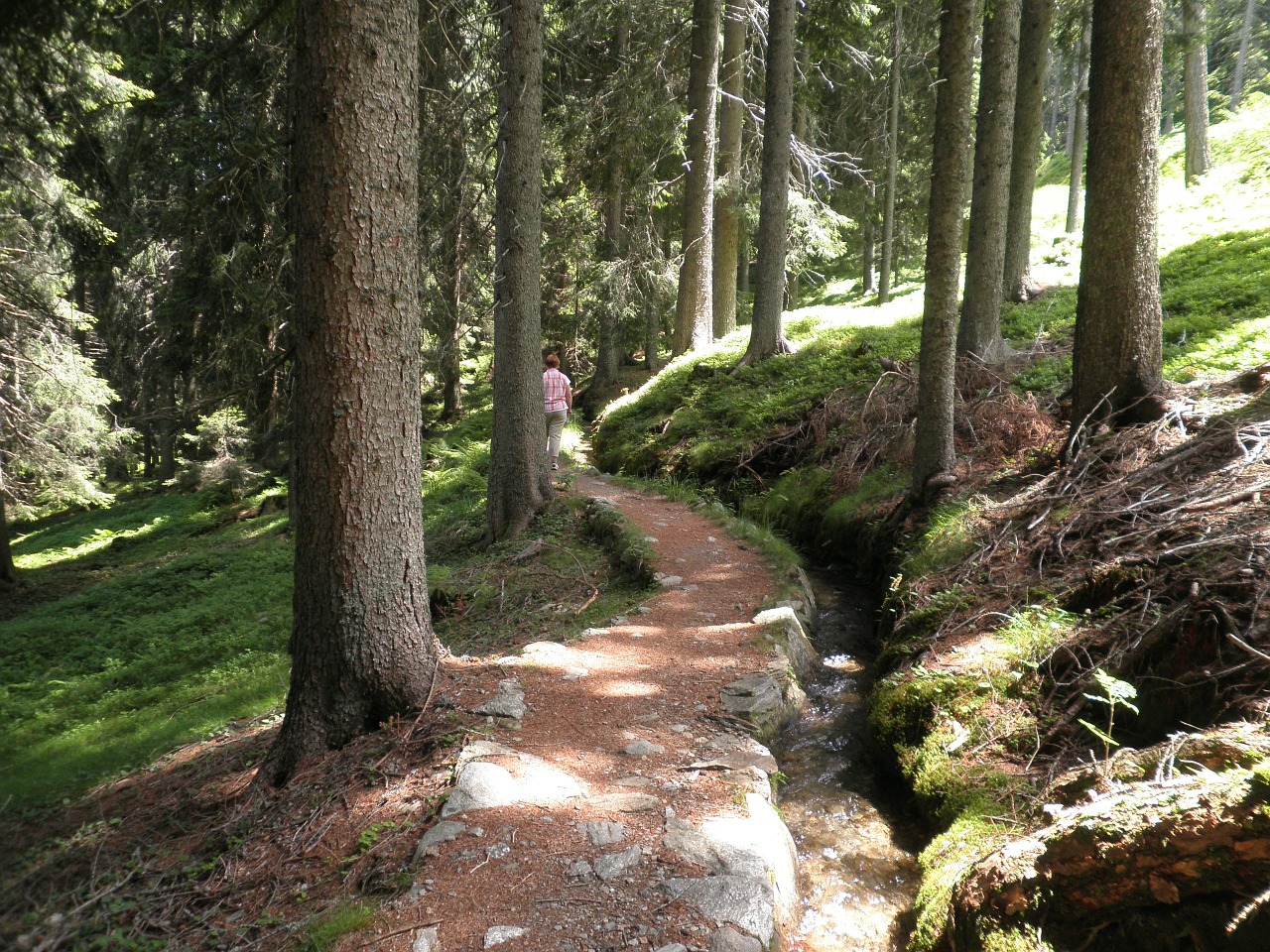 nature landscape south tyrol free photo