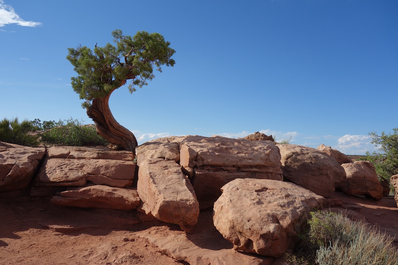 nature landscape rock free photo