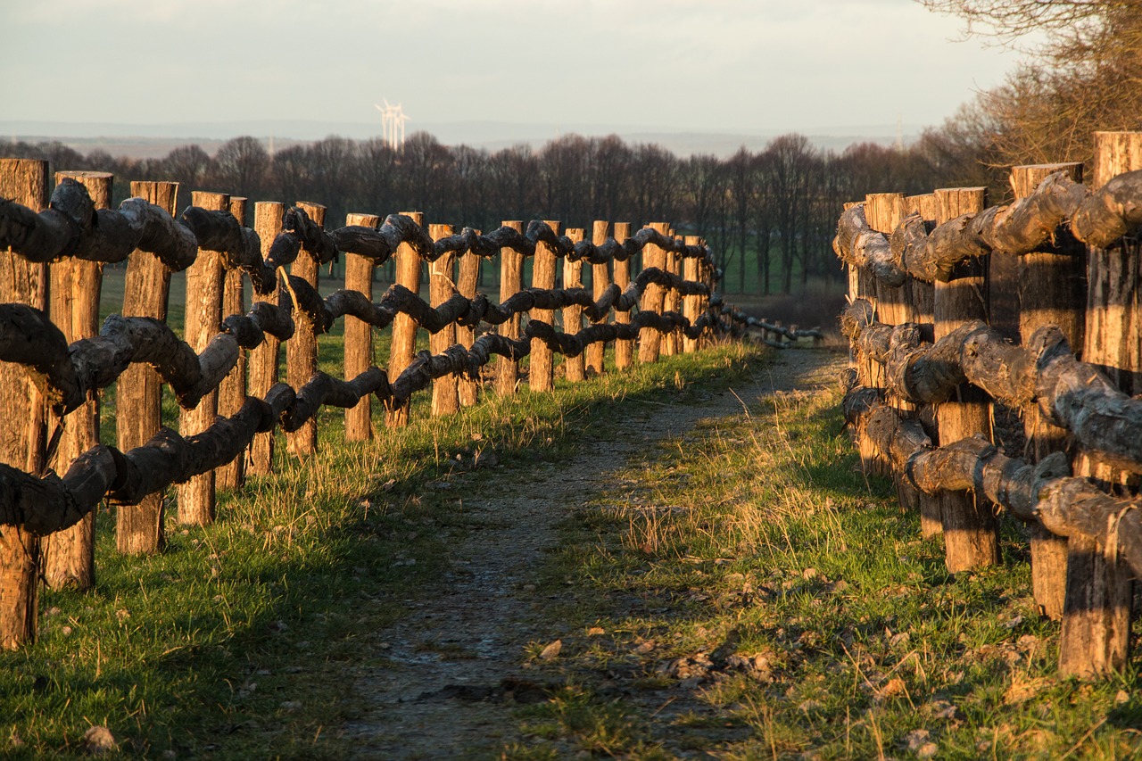 nature landscape autumn free photo