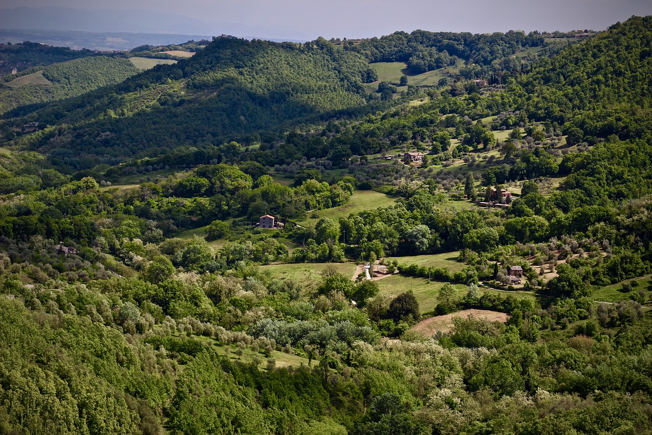 nature panoramic landscape free photo