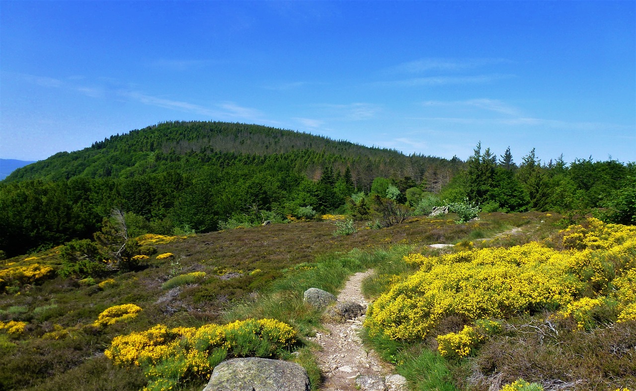 nature landscape mountain free photo